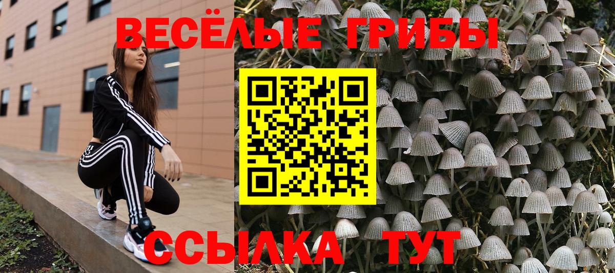 Владивосток  Псилоцибиновые грибы Magic Shrooms  Вход с VPN 