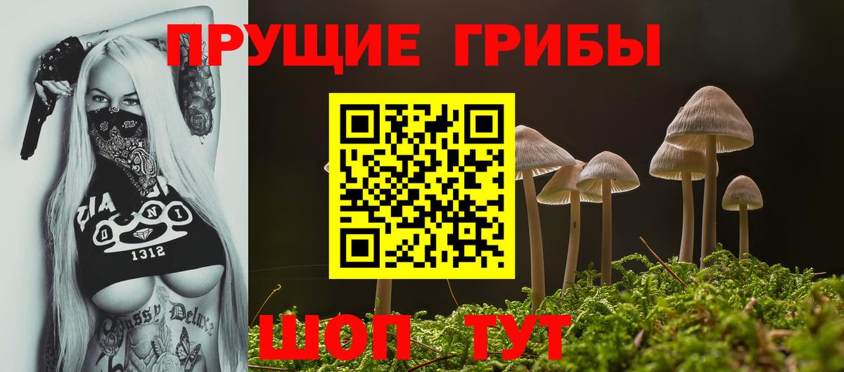 Псилоцибиновые грибы Magic Shrooms Владивосток